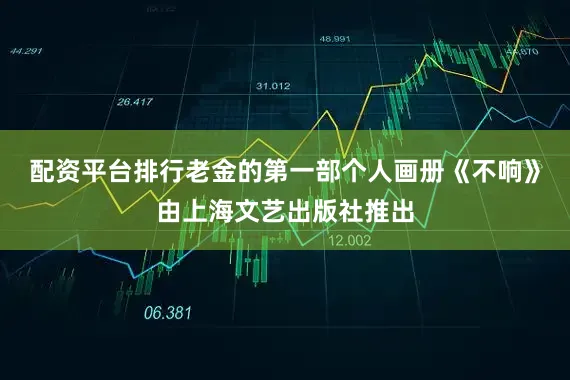 配资平台排行老金的第一部个人画册《不响》由上海文艺出版社推出