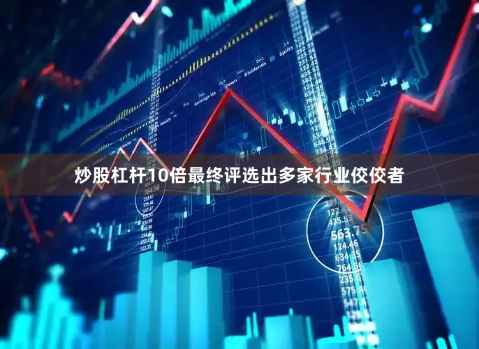 炒股杠杆10倍最终评选出多家行业佼佼者