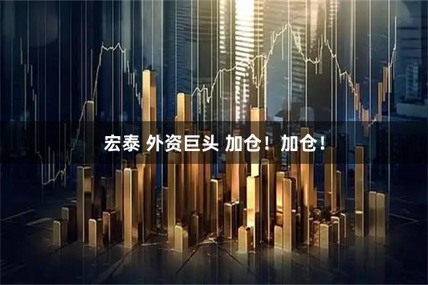 宏泰 外资巨头 加仓！加仓！