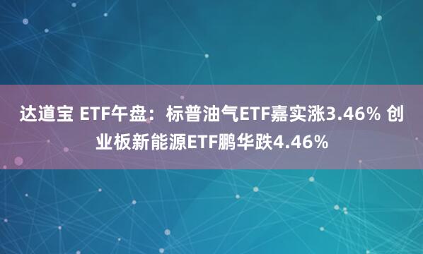 达道宝 ETF午盘：标普油气ETF嘉实涨3.46% 创业板新能源ETF鹏华跌4.46%